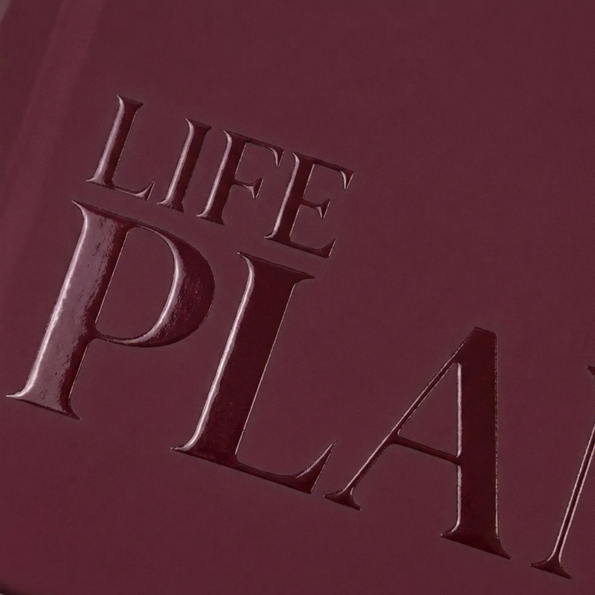 Agenda - Life Planner 2027